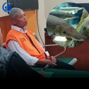 Pelihara Ikan Aligator, Pria Di Malang Divonis Lima Bulan Penjara